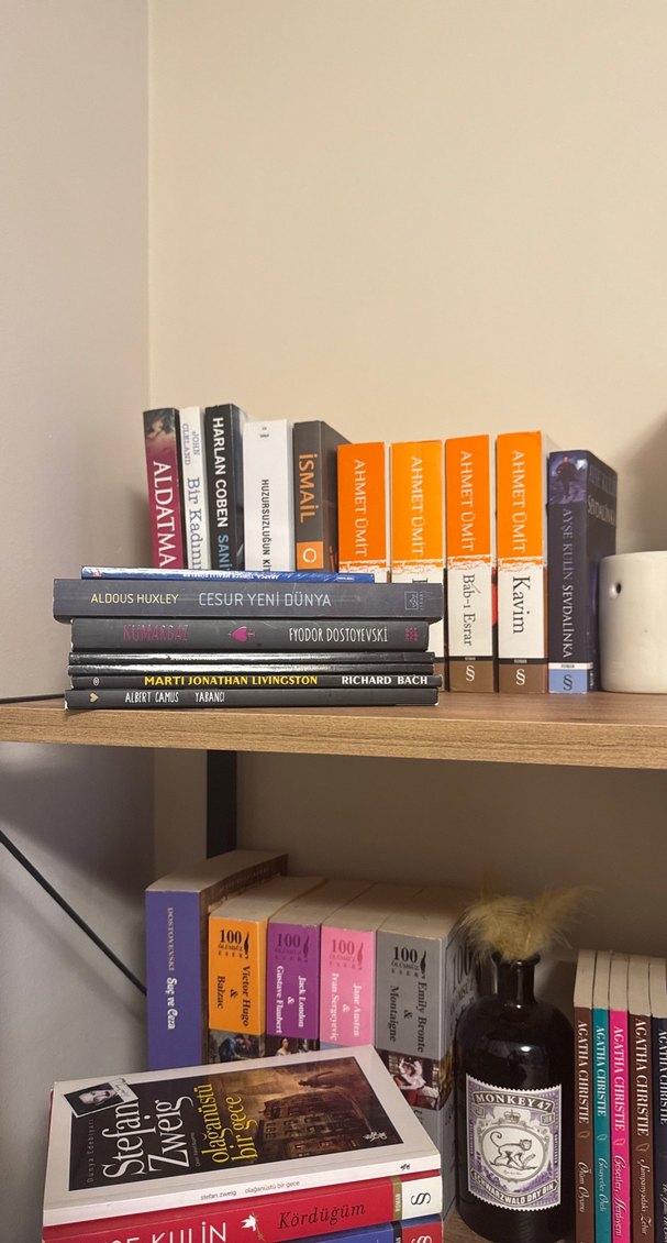 Çeşitli Roman Kitap - Görsel 3