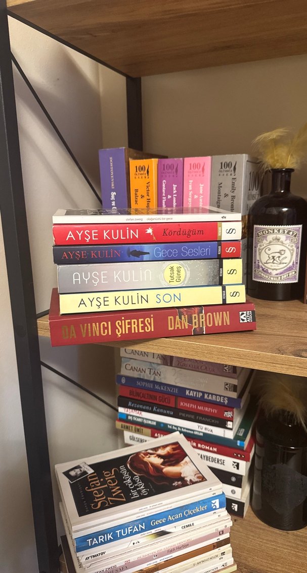 Çeşitli Roman Kitap - Görsel 2