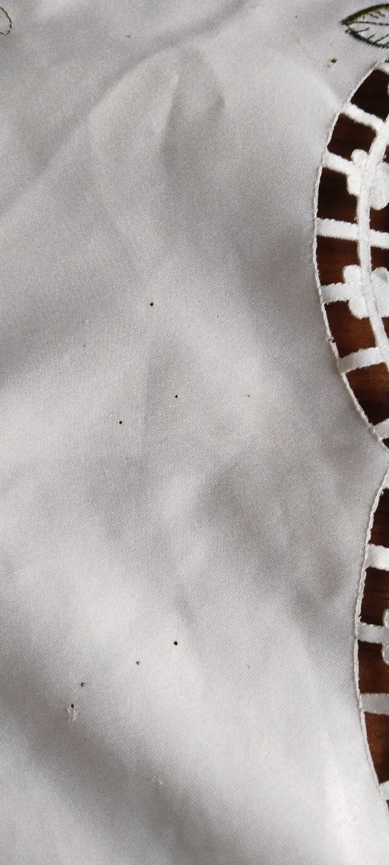 Nakışlı Krem Masa Örtüsü - Görsel 2