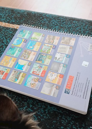 TYT-AYT Geometri Defteri - Pandül Yayınları - Görsel 4