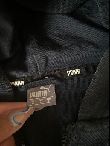 Puma puma hırka
