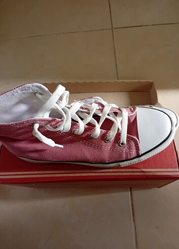 Gül kurusu rengi - Görsel 5