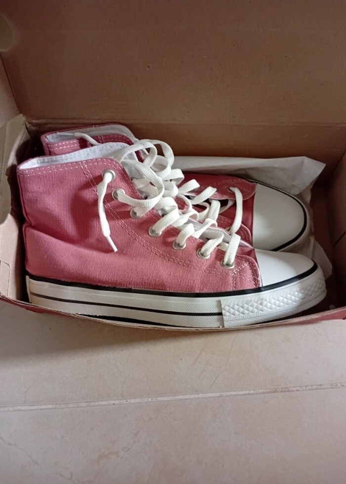 Gül kurusu rengi - Görsel 2