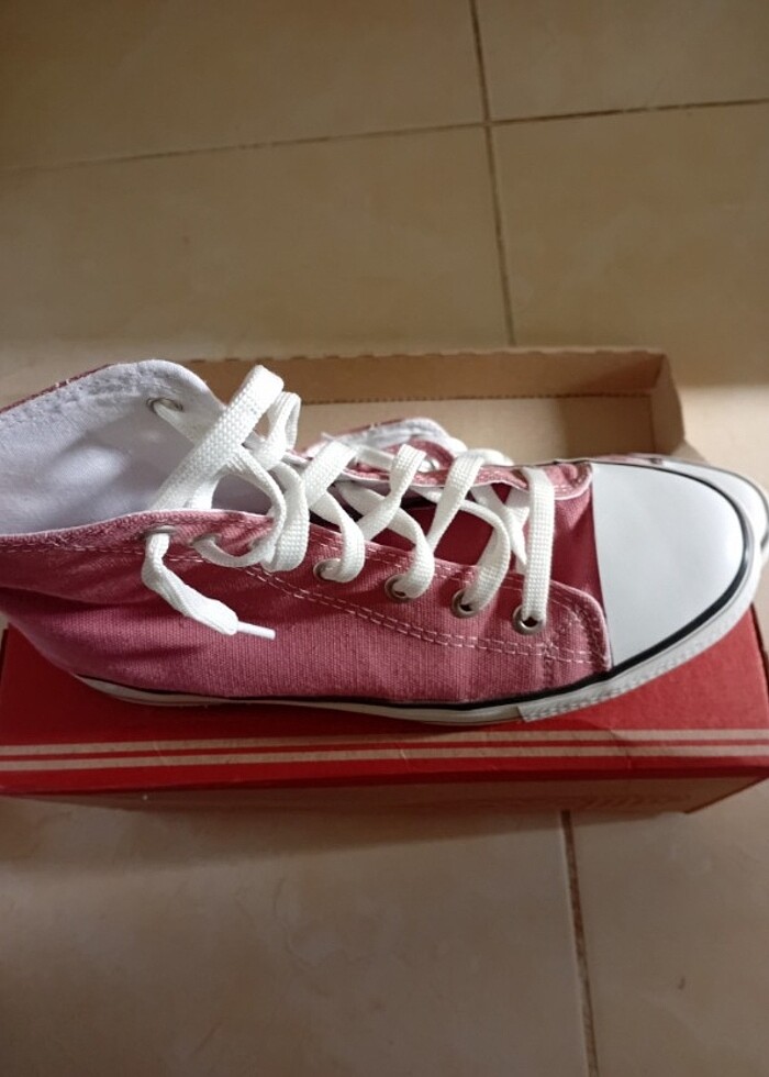 Gül kurusu rengi - Görsel 5