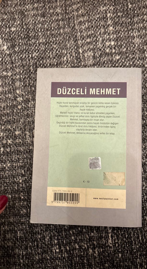 Düzceli Mehmet - Halit Ertuğrul Kitap - Görsel 2