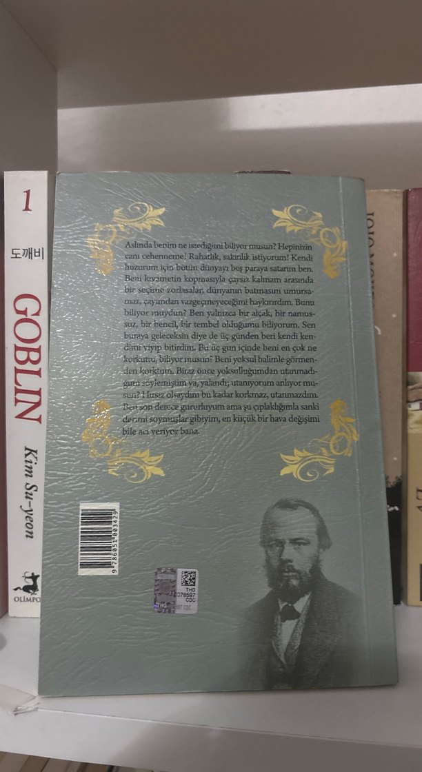 Yeraltından Notlar - Dostoyevski - Görsel 2