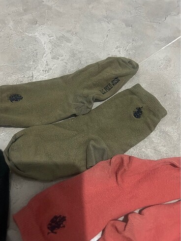 4 adet polo çorap - Görsel 3