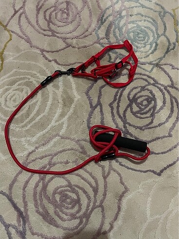 Küçük kedi/köpek tasması