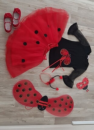 Uğur böceği kostüm tam takım, oda süsleme aksesuar