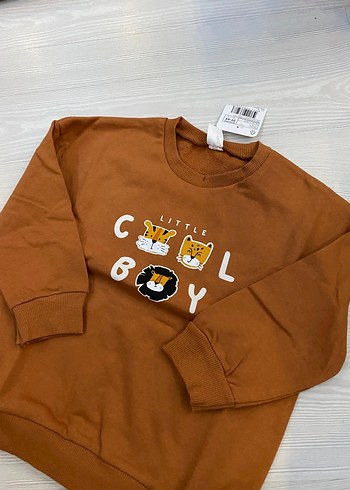 Kahverengi Erkek Çocuk Sweatshirt 3/4 yaş - Görsel 2
