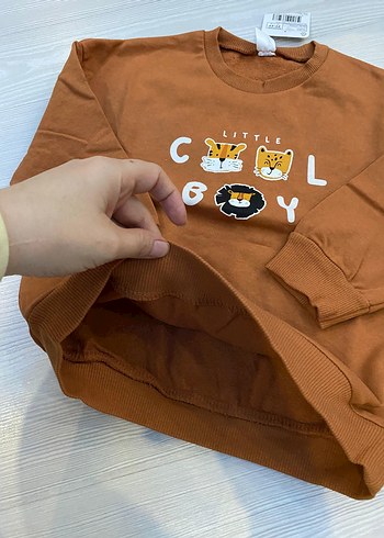 Kahverengi Erkek Çocuk Sweatshirt 3/4 yaş - Görsel 3