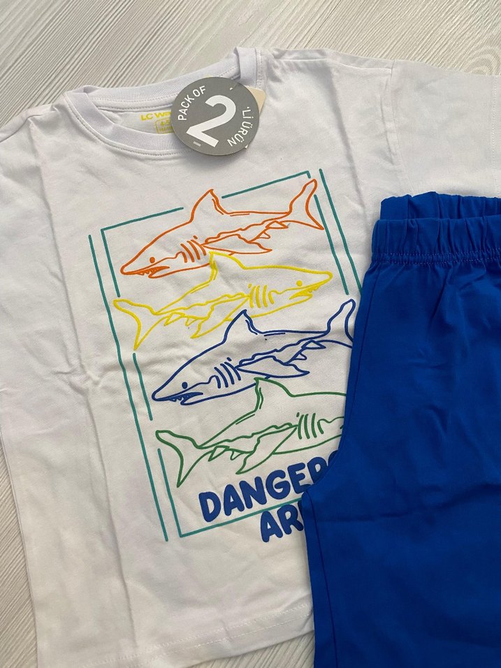 LCW 2 li takım 4/5 yaş - Görsel 2