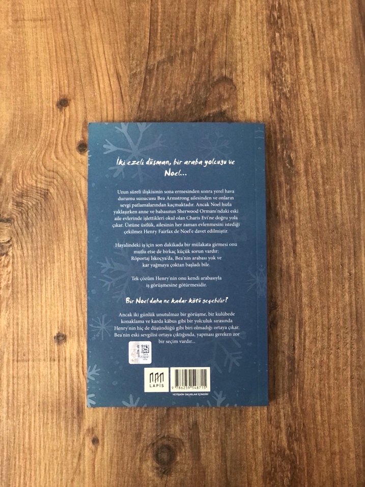 Kar Yağarken - Beth Moran - Görsel 2