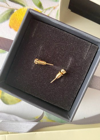 18 Ayar Sarı Altın Kaplama Gümüş Küpe - Görsel 4