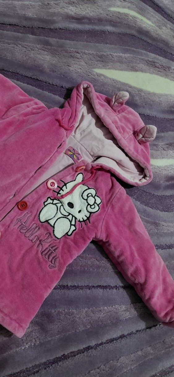 Kapüşonlu Pembe Nakışlı Kız Çocuk Mont - Görsel 2