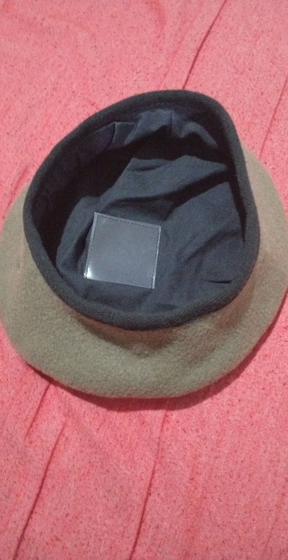 Fransız bere - Görsel 2