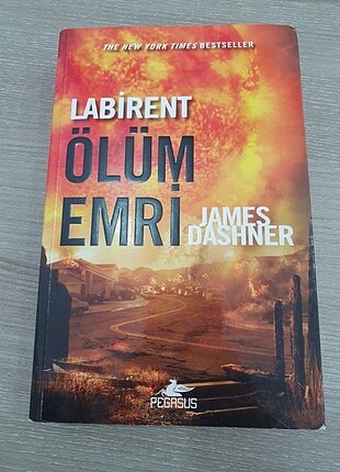 Labirent - Ölüm Emri