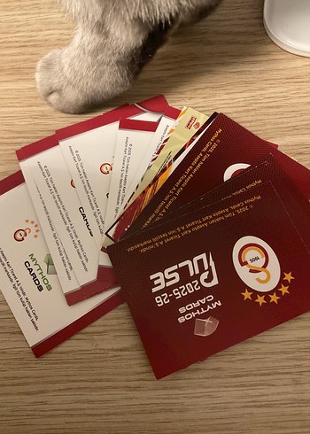 Gs kartlari - Görsel 2