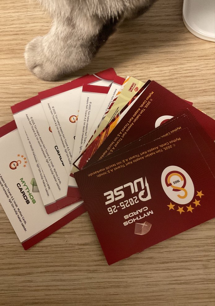 Gs kartlari - Görsel 2