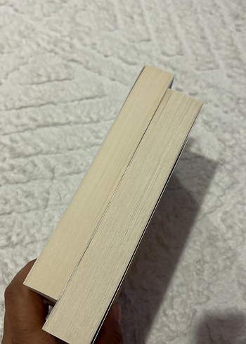 Beden Renk Kış Nişanlıları & Ayışığı'nın Kayıpları Romanları