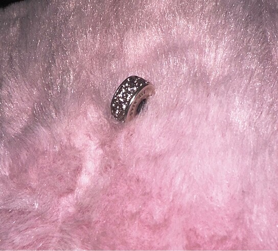 Pandora Pandora charm
