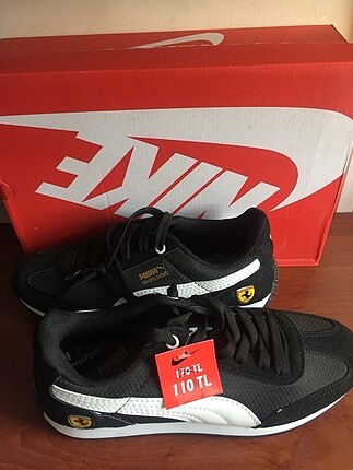 Puma roma