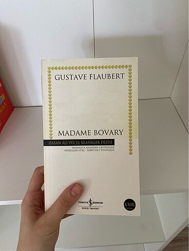Madame bovery