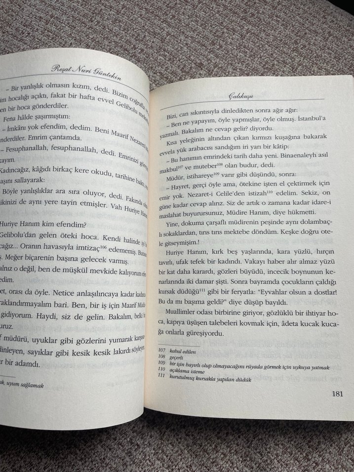 Reşat Nuri Güntekin - Çalıkuşu Romanı - Görsel 3