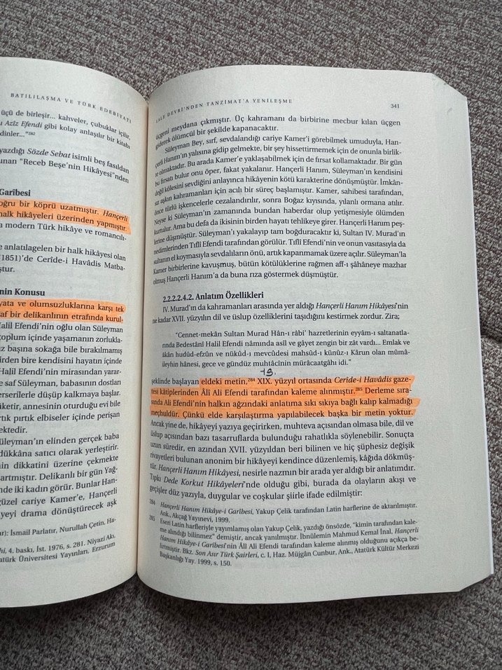 Ali Budak - Batılılaşma ve Türk Edebiyatı - Görsel 3