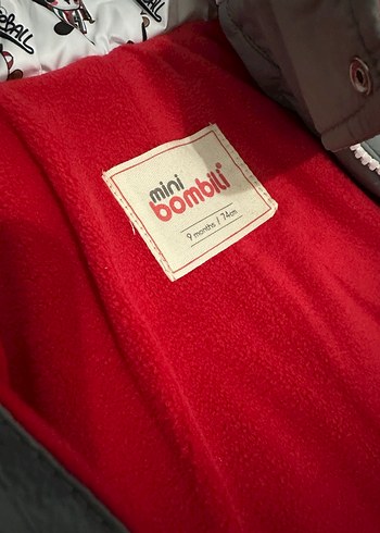 Astronot tulum - Görsel 3