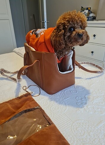Köpek taşıma çantası
