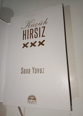  Küçük hırsız 