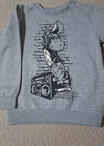 Gri Pamuklu Erkek Çocuk Baskılı Sweatshirt