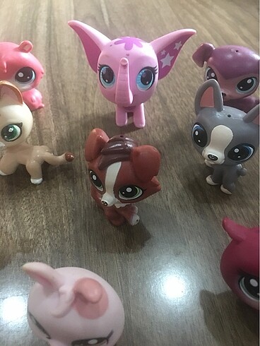 Beden Littles pet shop
