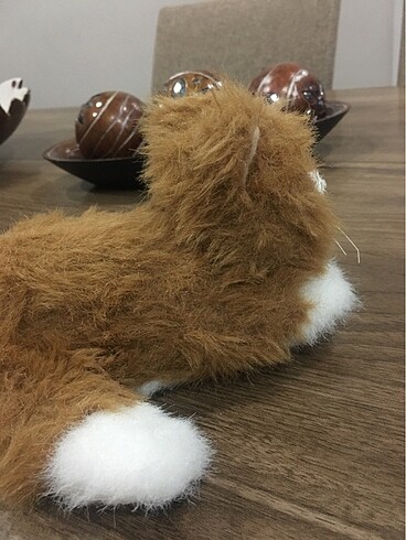  Oyuncak kedi