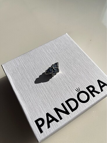 Pandora Pandora charm