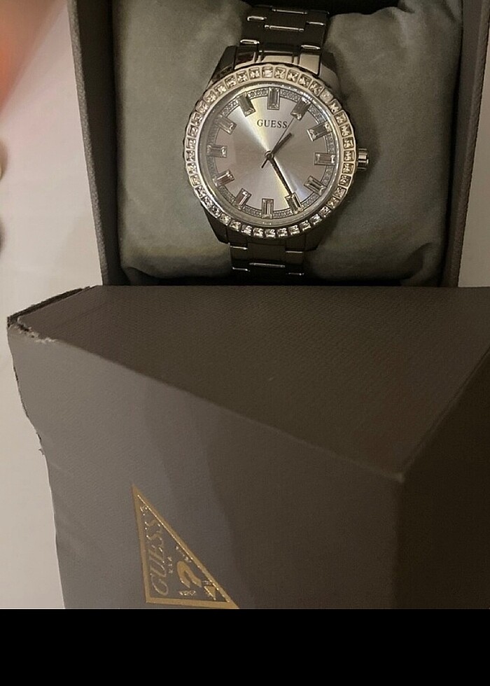 guees saag - Görsel 2