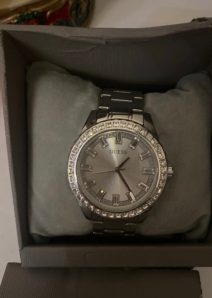 guees saag - Görsel 4