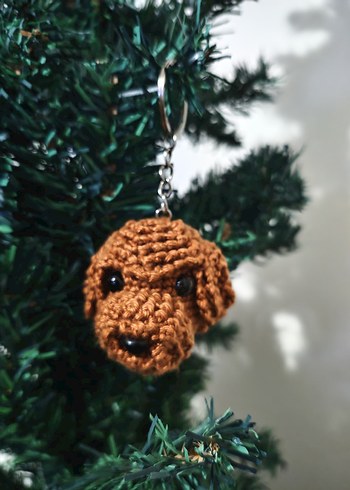 toy poodle - Görsel 7