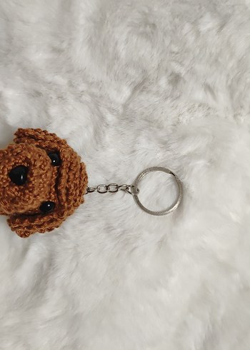 toy poodle - Görsel 3