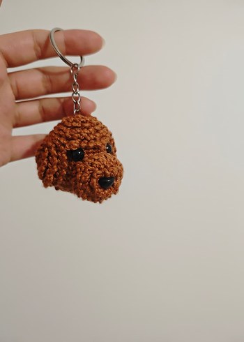 toy poodle - Görsel 2