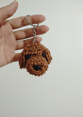 toy poodle - Görsel 6