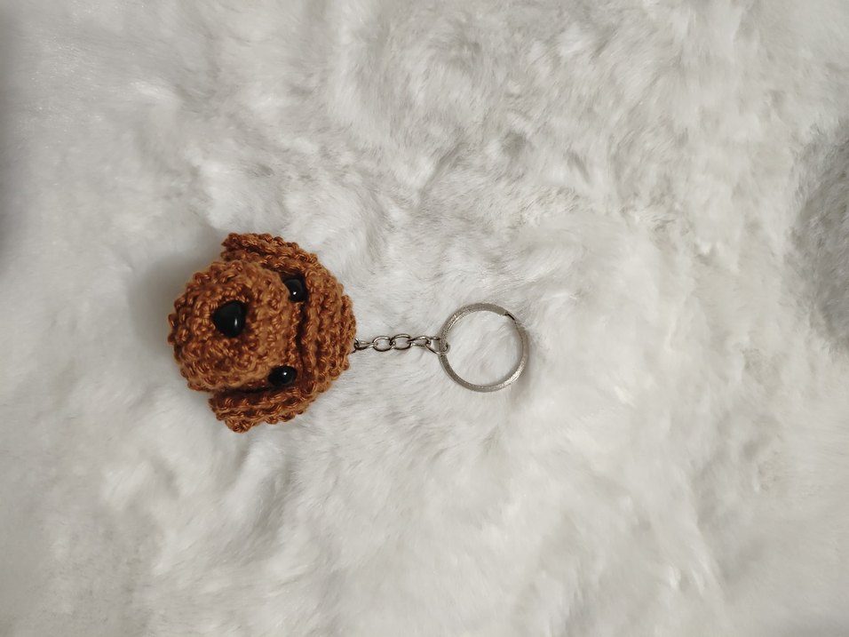 toy poodle - Görsel 3