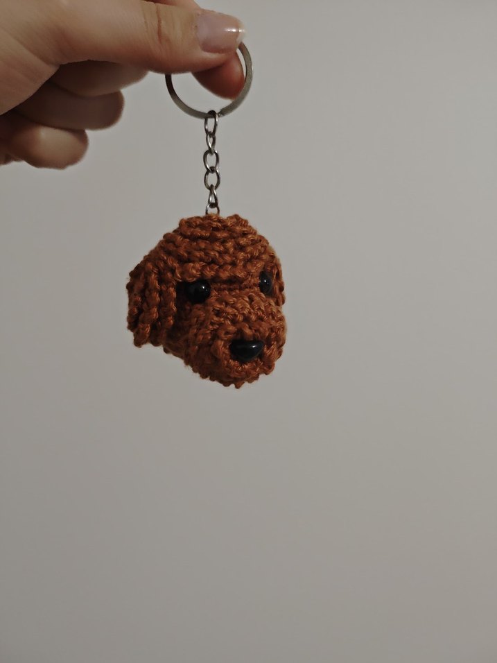 toy poodle - Görsel 5