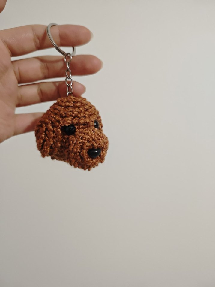 toy poodle - Görsel 4