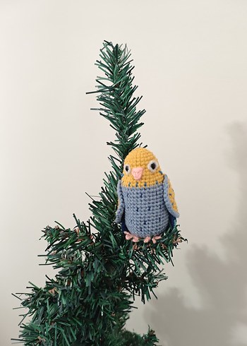 muhabbet kuşu - Görsel 4