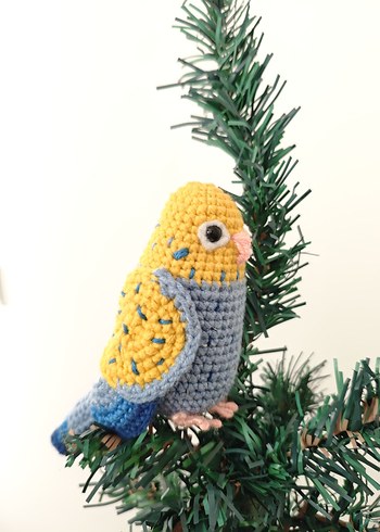 muhabbet kuşu - Görsel 2