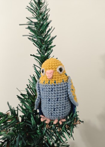 muhabbet kuşu - Görsel 6