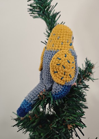 muhabbet kuşu - Görsel 7