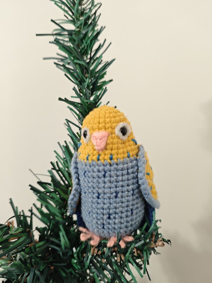 muhabbet kuşu - Görsel 5